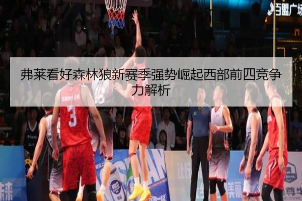 弗莱看好森林狼新赛季强势崛起西部前四竞争力解析