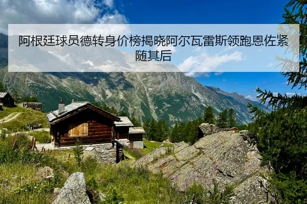 阿根廷球员德转身价榜揭晓阿尔瓦雷斯领跑恩佐紧随其后
