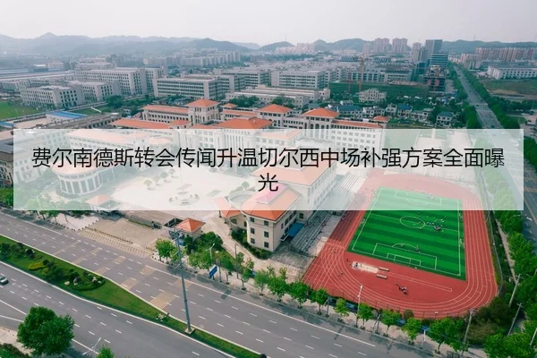 费尔南德斯转会传闻升温切尔西中场补强方案全面曝光